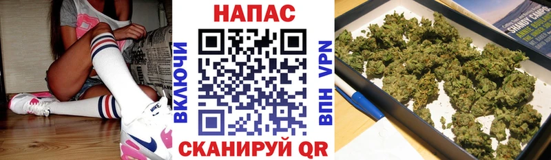 Купить закладку Нижний Ломов Амфетамин  Cocaine  ГАШИШ  A PVP  Меф  Каннабис 
