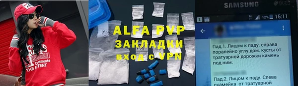 тгк Алексин