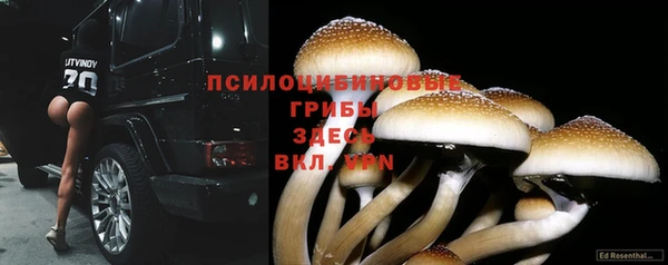 тгк Алексин