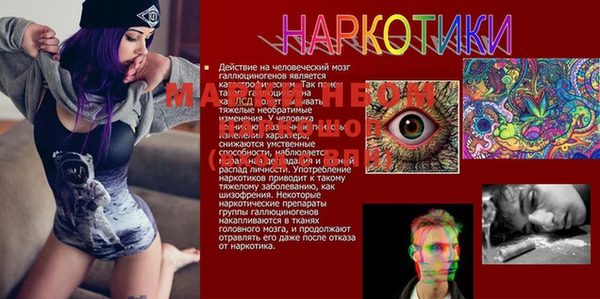 ПСИЛОЦИБИНОВЫЕ ГРИБЫ Алексеевка