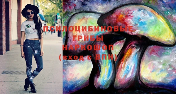 ПСИЛОЦИБИНОВЫЕ ГРИБЫ Алексеевка