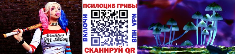 Галлюциногенные грибы Psilocybine cubensis где продают Нижний Ломов